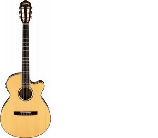IBANEZ AEG10NII-NT