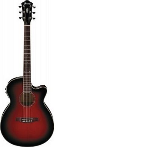 IBANEZ AEG10II-TRS
