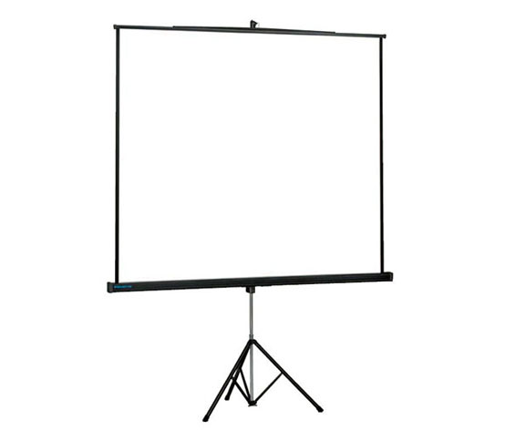 Projecta Professional (10430110)