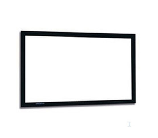 Projecta PermScreen (10630051)