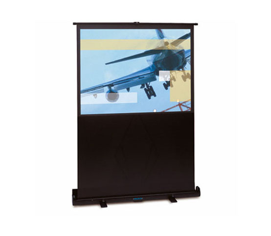 Projecta LiteScreen (10530192)