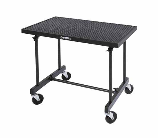 -  ,   Yamaha YGS-100