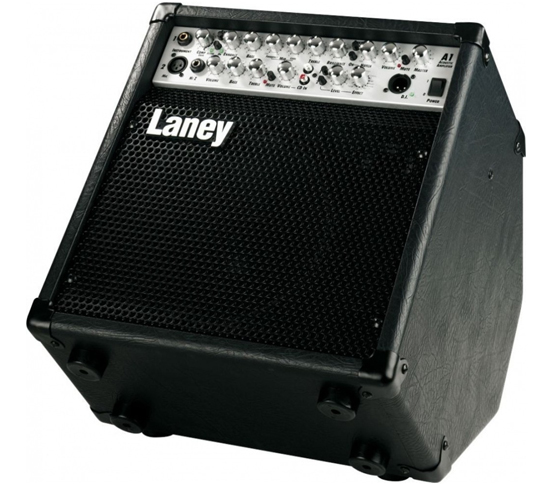 Laney A1