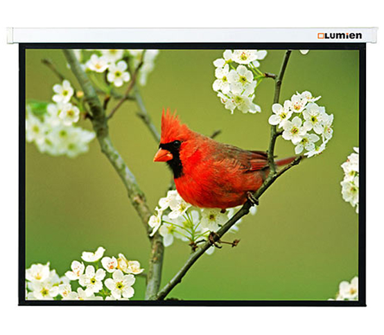   Lumien Master Picture [LMP-100107]