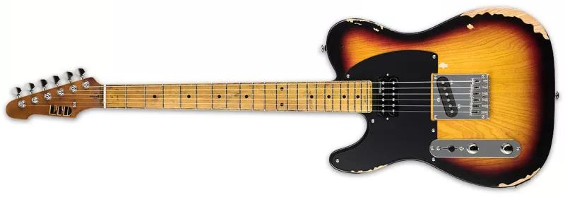   ESP LTD TE-254D 3TB LH