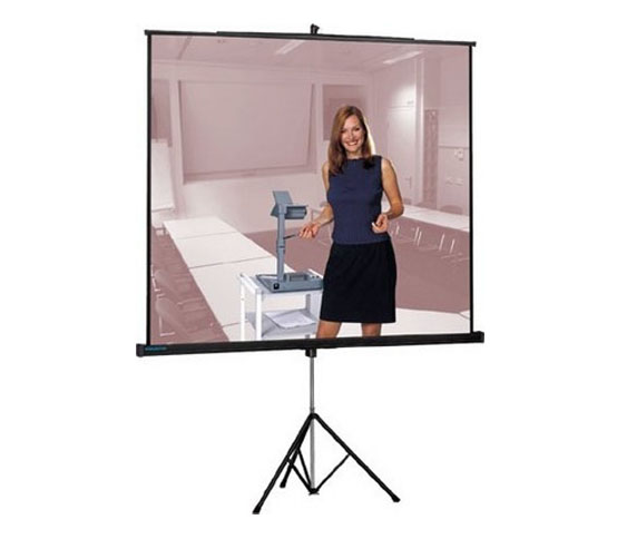 Projecta Professional (10430110)