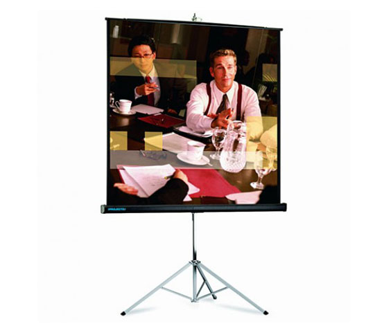 Projecta Picture King (10430026)