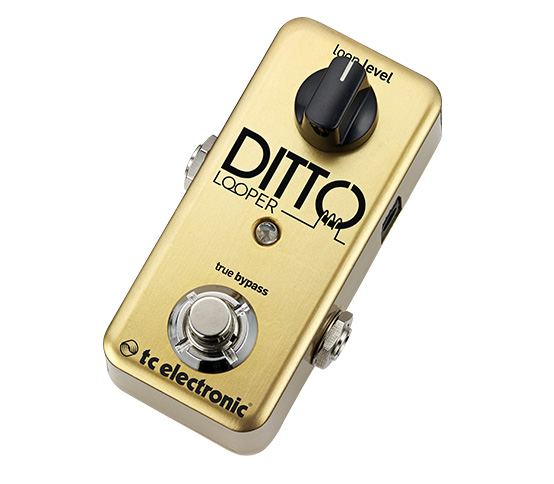 TC ELECTRONIC Ditto Looper Gold