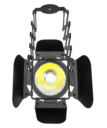 Светодиодный световой прожектор ESTRADA PRO LED PAR COB 50 LOFT