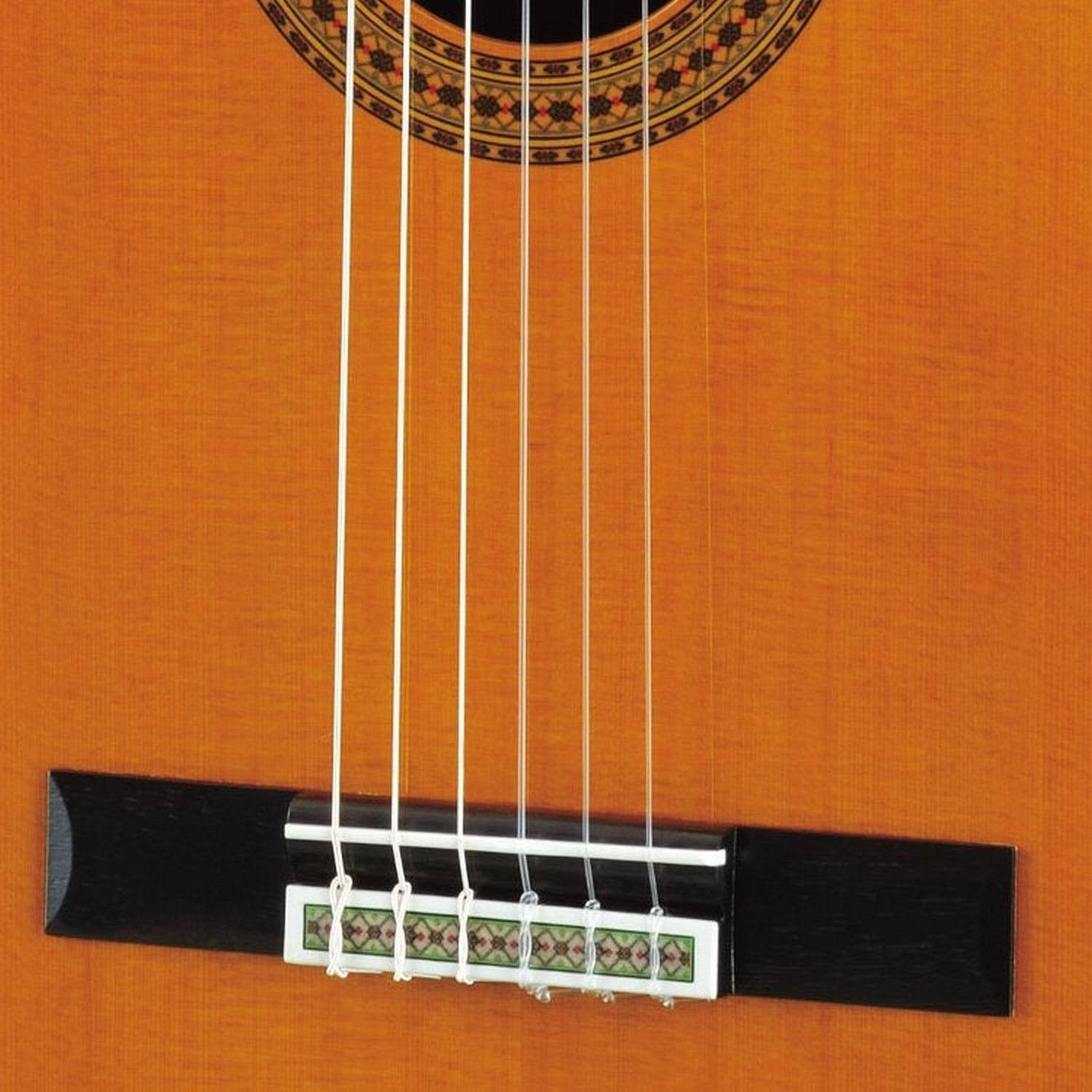 ������������ ������ Yamaha GC22C