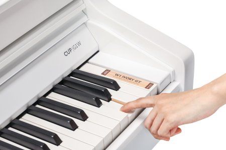   Kurzweil CUP G1W WHP