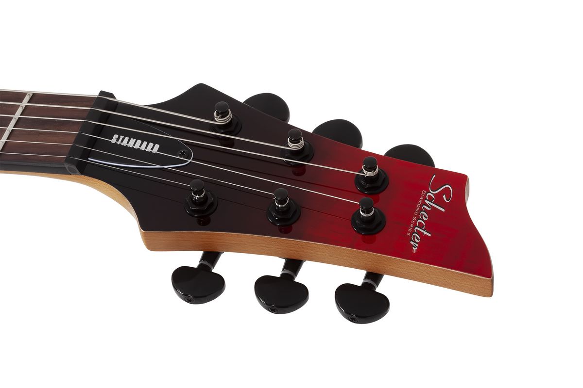   SCHECTER C-1 STANDARD