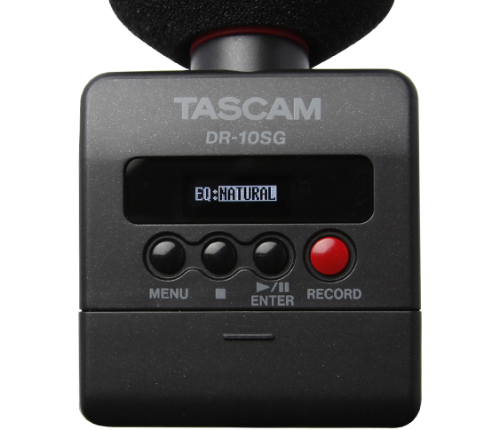 Tascam DR-10SG