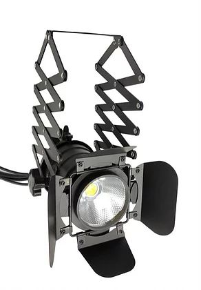 Светодиодный световой прожектор ESTRADA PRO LED PAR COB 50 LOFT