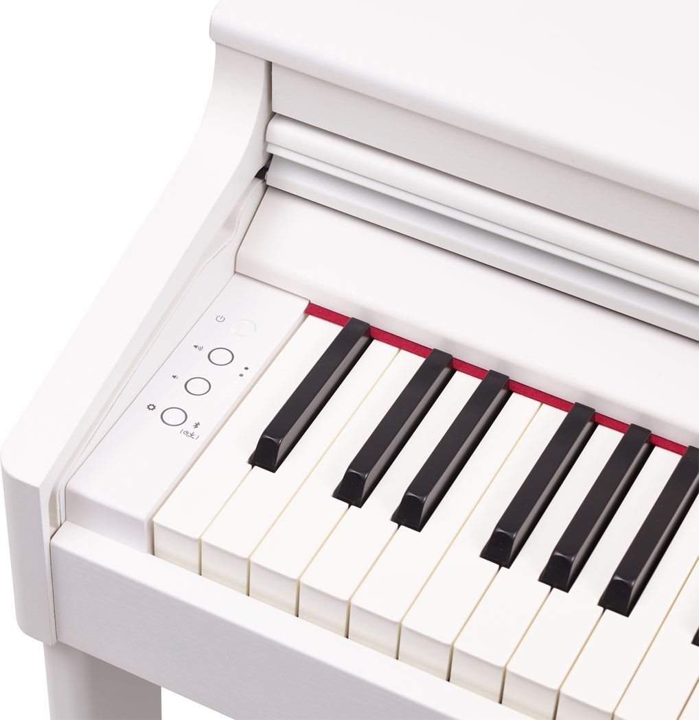 �������� ���������� ROLAND RP701 WH