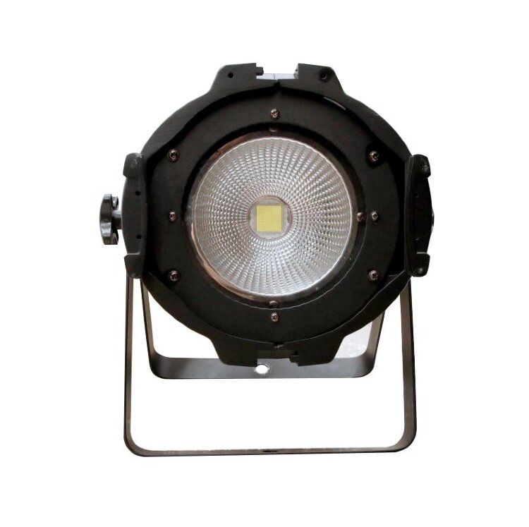 ��������� SHOWLIGHT COB PAR 100W � ������������� �������