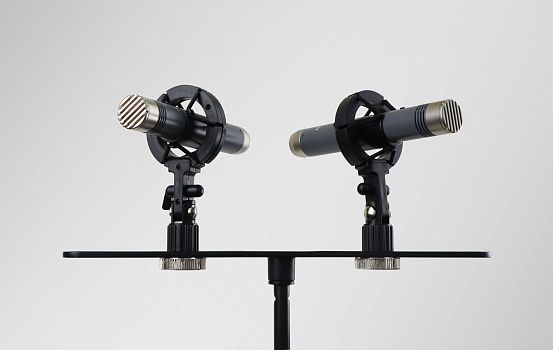 ���������������� ��������� ���������, ����������� ���� AuraSonics AP22-MP