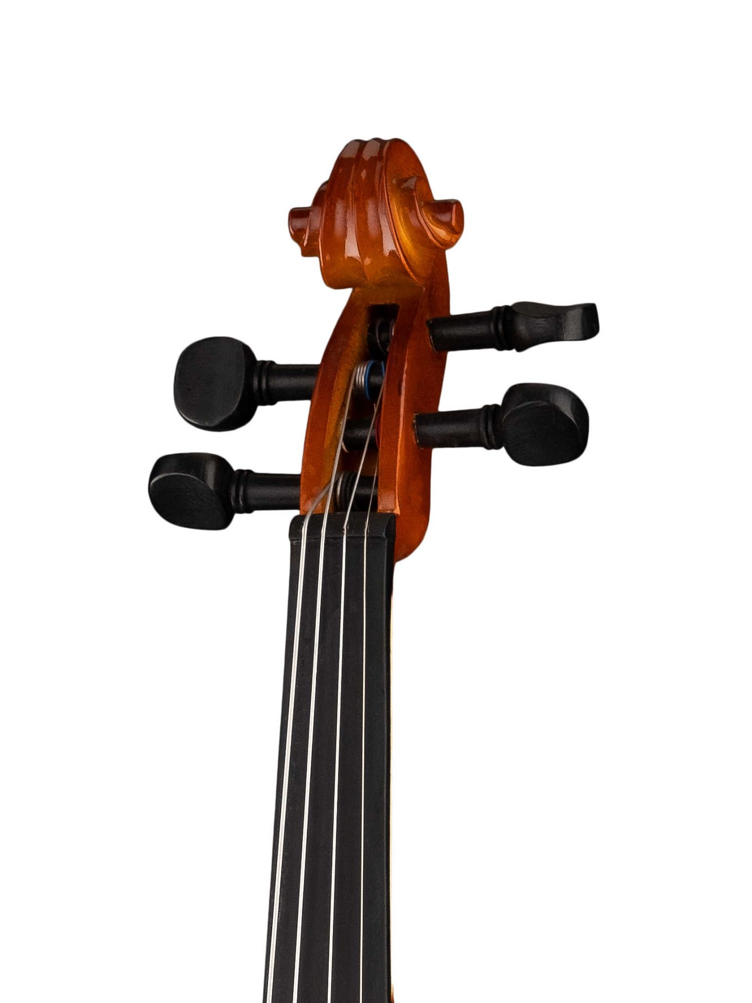 ������� � ��������� FLEET FLT-VP1/8