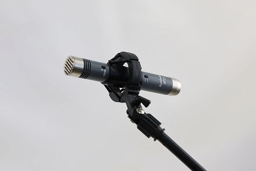 ���������������� ��������� ���������, ����������� ���� AuraSonics AP22-MP