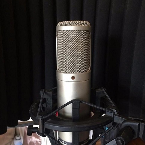 Студийный конденсаторный микрофон RODE K2