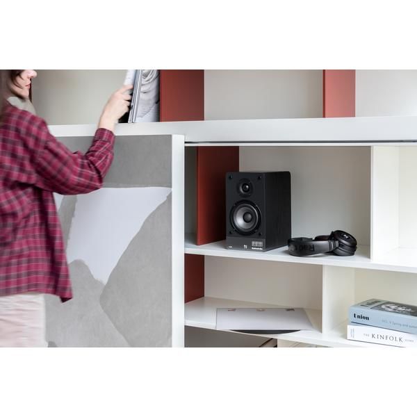 �������� �������� Radiotehnika S-10N