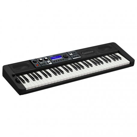 ���������� Casio CT-S500