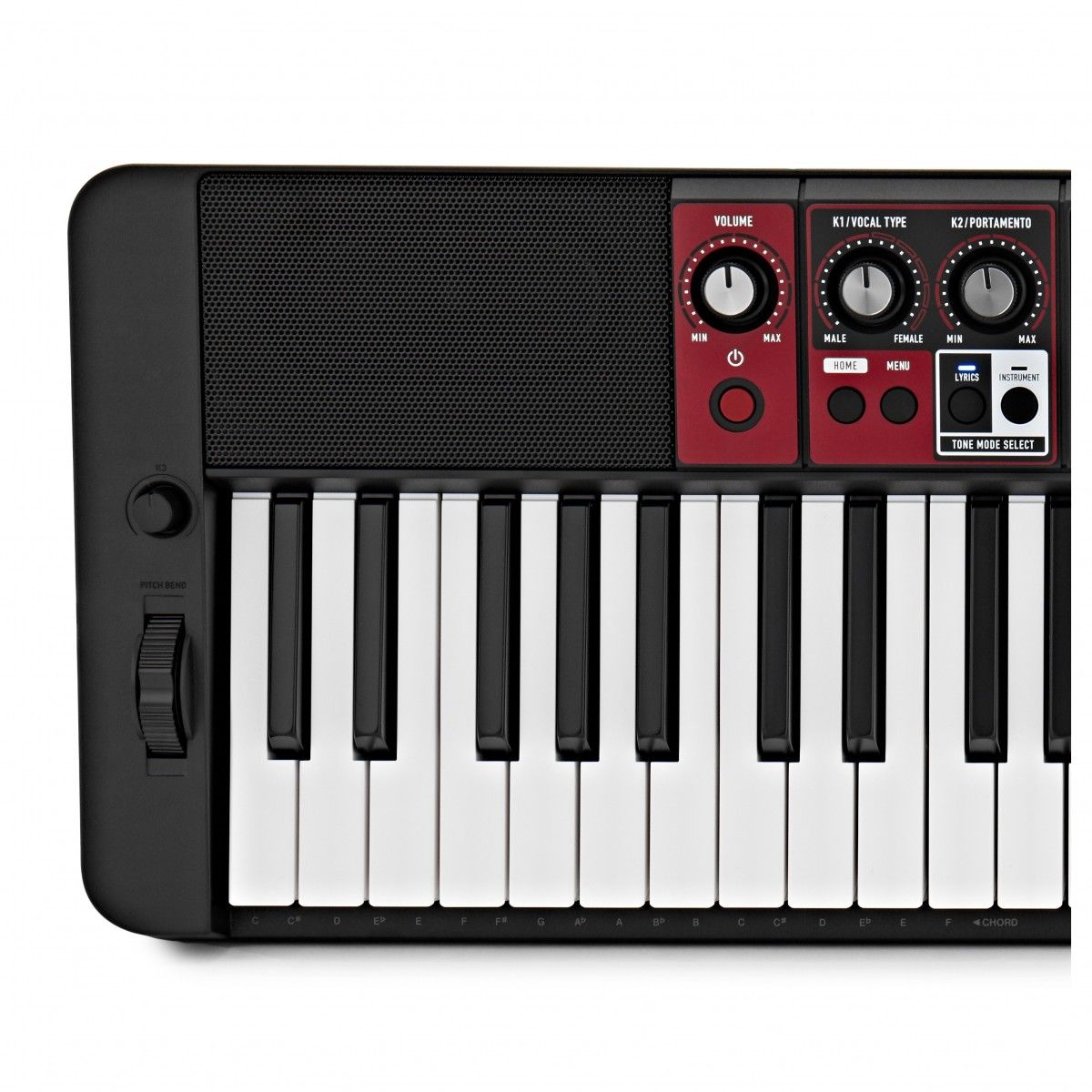 ���������� Casio CT-S1000V