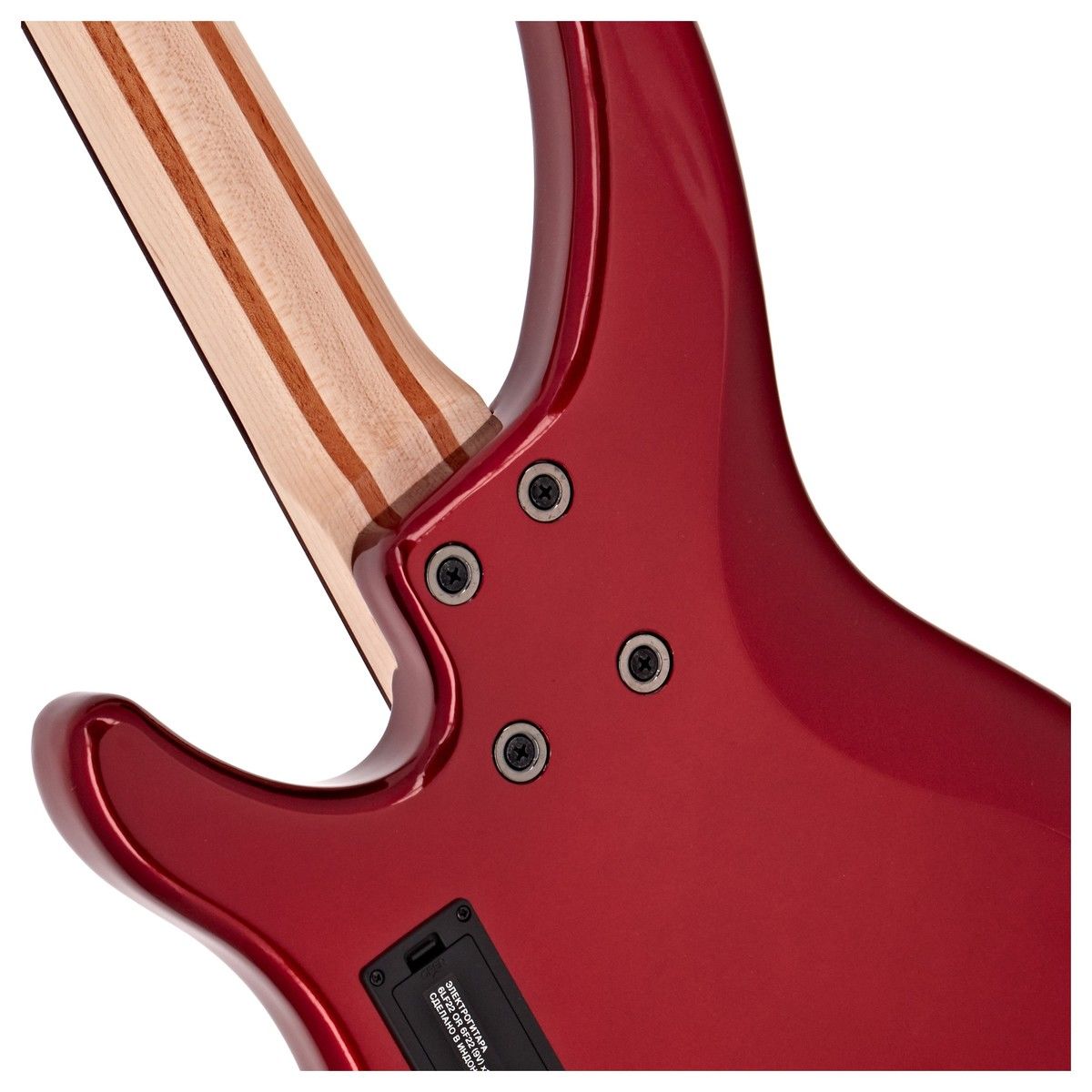 ���-������ Yamaha TRBX-304 CAR