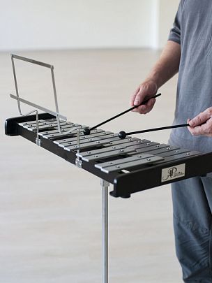 �����: ����������� AP Percussion GS-30