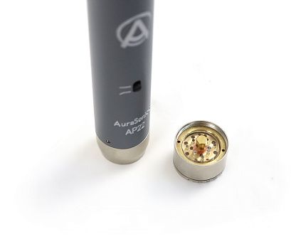 ���������������� ��������� ���������, ����������� ���� AuraSonics AP22-MP