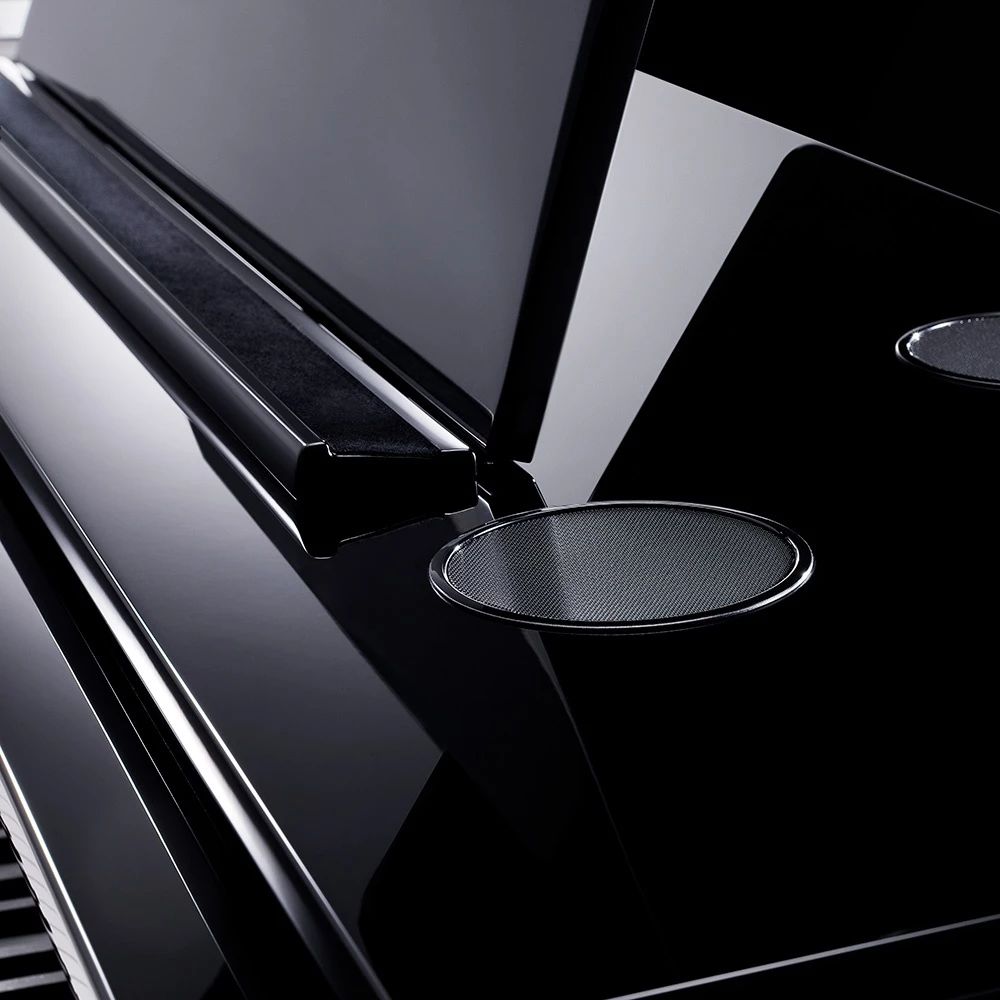 ��������� �������� ����� KAWAI NV12 EP