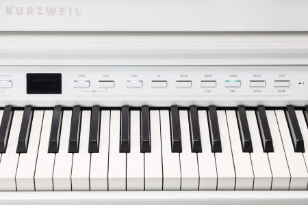   Kurzweil CUP G1W WHP