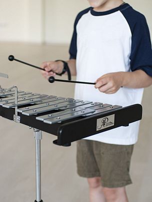 �����: ����������� AP Percussion GS-30