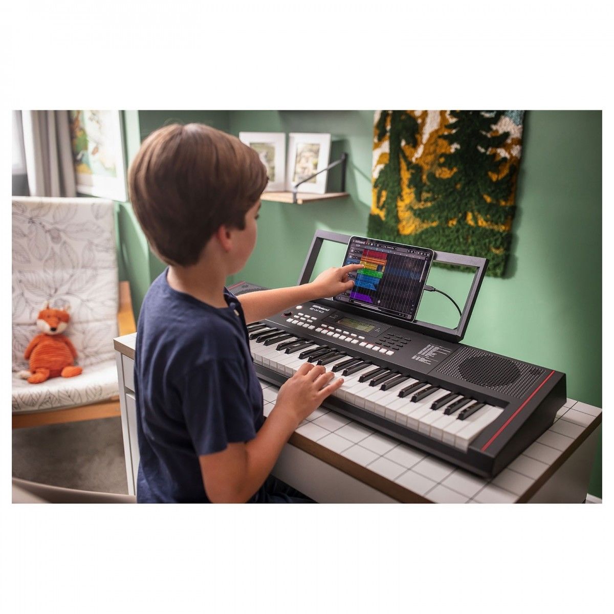 ����������� ���������� ROLAND E-X10